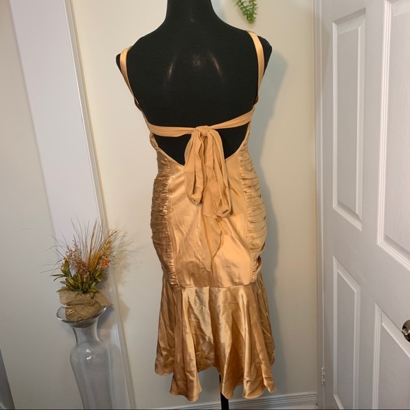 Dina Barel Soft Gold Tone Silk Flattering Dress - Picture 2 of 16